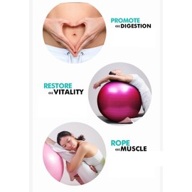 Gaorui Exercise Fitness Aerobic Ball for Gym Yoga Pilates Pregnancy Birthing Core Ball