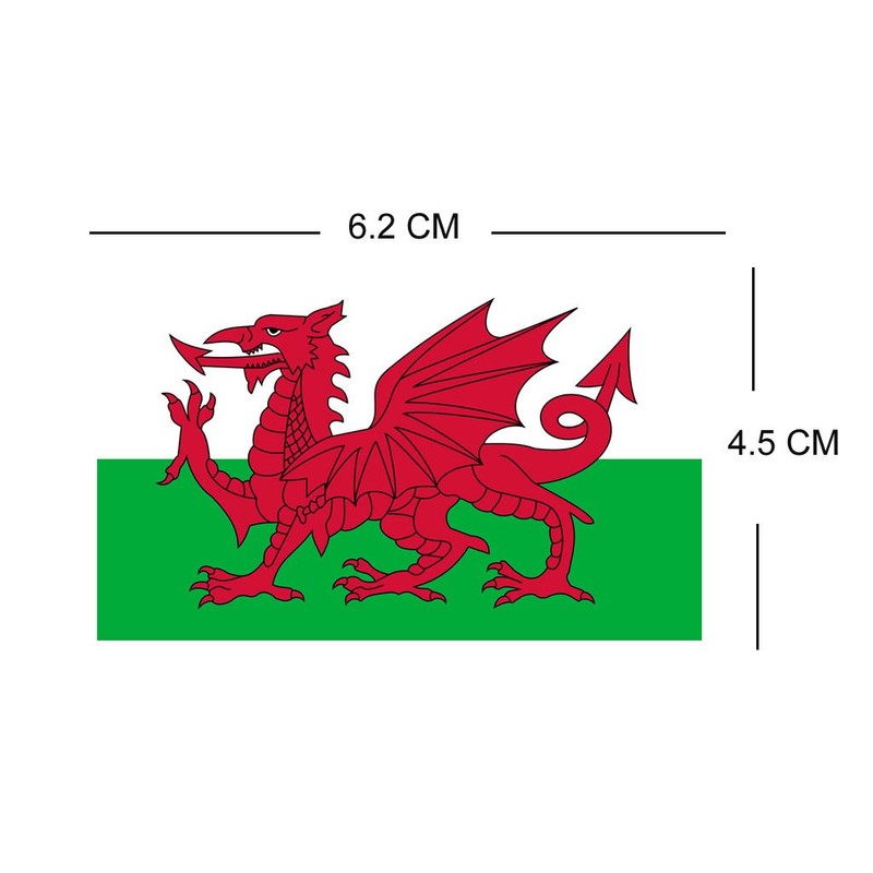 TENNER.LONDON SET OF 5 Welsh Flag Iron on Screen print