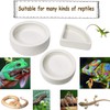 Reptile Food Water Bowl Set Lizard Feeder Ceramics Bowls Worm