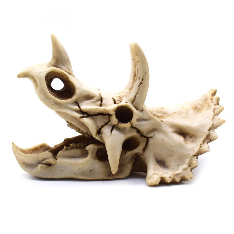 Resin Dinosaur Skeleton Triceratops Imitation Skull Model Home Office Display