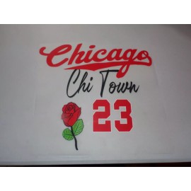 IntheTruth Chicago Chi-Town Iron On Heat Stamp w/Skeleton on Back