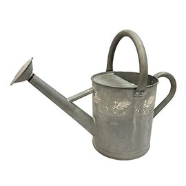 Gardener Select (W3005ZH) Metal Watering Can - Modern Indoor & Outdoor Watering Pot with Handles for Flowers/Plants (7 Liter, Antique White)