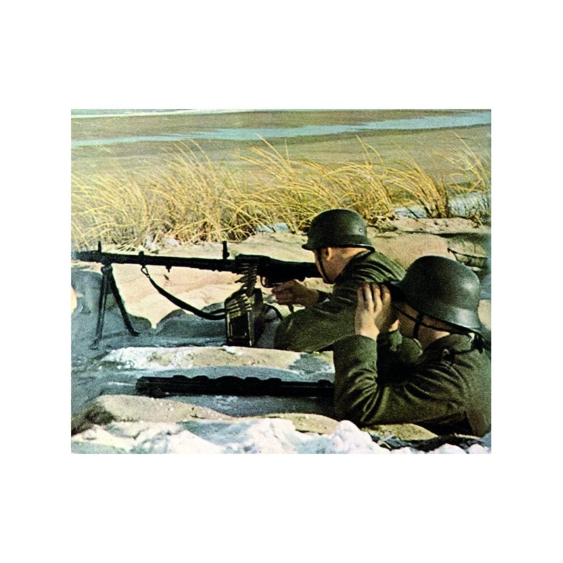 Alliierte Invasionen - Im Feuerhagel der Geschütze