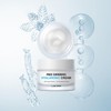 Lab 1899 [Jeongmol] Lab1899 Red Ginseng Hyaluronic Acid Cream 50ml