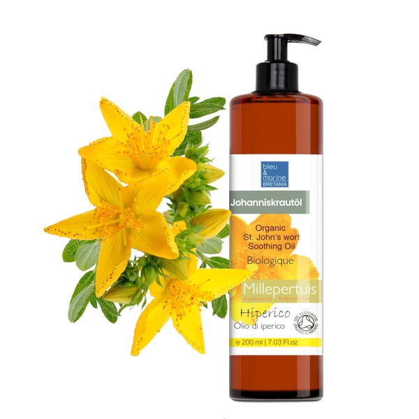 Organic St. John's Wort Oil Drops in Extra Virgin Cold Pressed Olive Oil Natural Care for Skin Hypericum Oil Red Oil Massage Hair Face Oil Macerate 100% Natural 200 ml