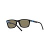 Arnette Child Sunglasses Matte Black Frame, Dark Grey Mirror Water