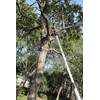 GARCARE 2 in 1 Pole Saw for Tree trimming &