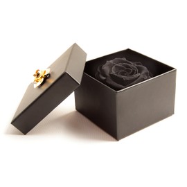 Rosemarie Schulz Heidelberg Infinity Rose, lasts for 3 Years, in a Box