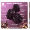 ad hoc health - Ancient Shilajit & Mushroom Gummies -