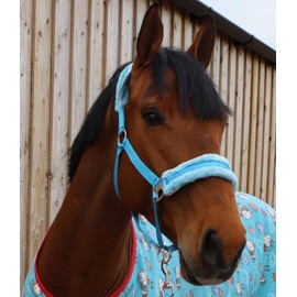 Ruggles Horse and Pony Head Collar With Matching Faux Fur Trim | Durable, Comfortable and Adjustable | Ideal for Travel, Shows, Competitions and everyday use (Aqua, Full)