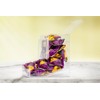 Inevibe Candy Dispenser - Bulk Acrylic Storage Holder with Two