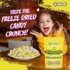 Bliss Life Fremon Heads Freeze Dried Lemon Candy 3 oz