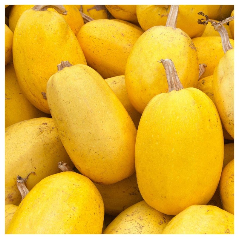 Everwilde Farms - 1 Lb Organic Vegetable Spaghetti Winter Squash