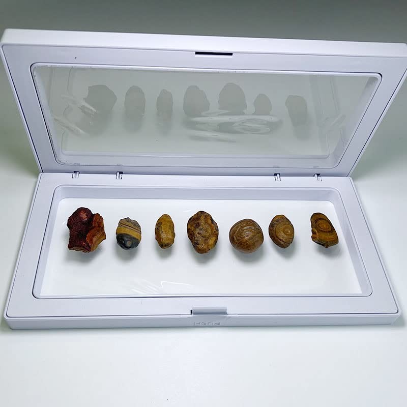 メノウ岩 ミネラルコレクション デスクテーブルオーナメント メンズ レディース ホーム オフィス 装飾 風水 石