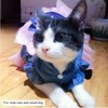 ANIAC Pet Denim Dress with Cute Bow-Knot Comfy Vest Skirt
