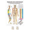 Rüdiger Meridians and Thorn Mini Poster Anatomy 34 x 24