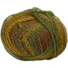 Marble Chunky Knitting Yarn by James Brett 200g (Orange/Brown/Green MC7)