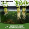 4-Pack Aquarium Plant Holder/Bamboo Clip,Hold Bamboo Stalks or Other Plants