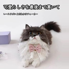 Cat Collar, Pearl and Lace Bowtie, Bow Tie, Collar, Strap, Cute Princess Fashion, [Kitten Collar/Puppy Collar/Rabbit Collar/Small/Medium Pet Collar] Pet Supplies Pet Jewelry (M Size, Pink)