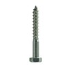 6 x 100 mm (Pack of 10) Hexagon Wood Screws