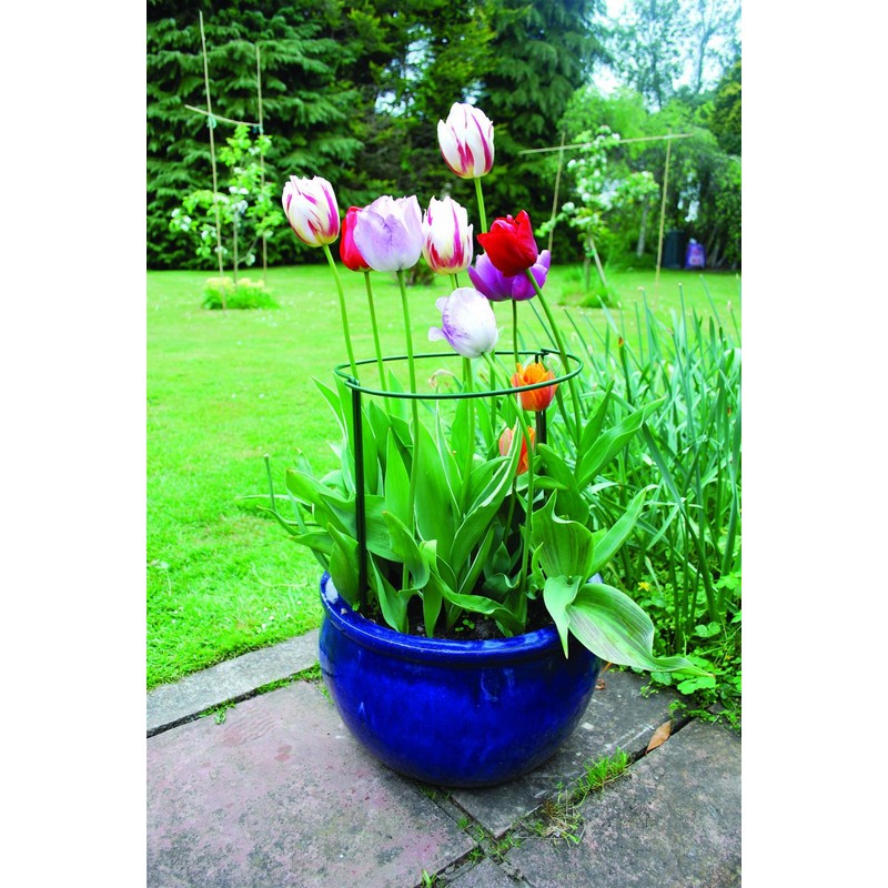 Gardman 7436 Plant Bows semicircular, 35 cm x 20 cm,