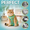 Avont Cat Recovery Suit - Kitten Onesie for Cats After
