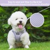 AIITLE Tiny Dog Harness - Lightweight Mesh Step-in Vest for