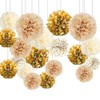 Champagne Tissue Paper Pom Poms, 20 Pcs Neutral Party Decorations,