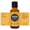 Edens Garden Tangerine Essential Oil, 100% Pure Therapeutic Grade (Undiluted