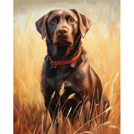 Natuyalo Animal Paint by Numbers Kit for Adults - Black Dog in The Rice Field Painting by Number on Canvas Without Frame, DIY Acrylic Art Crafts for Ideal Gift (16x20 Inch)