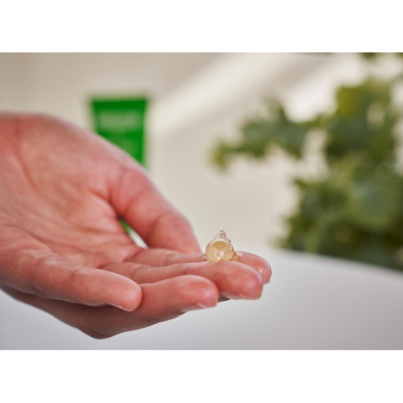 Skin Food Face Complete Collection