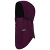 BLACKSTRAP Team Hood Balaclava Face Mask Double Layer Thermal Headwear