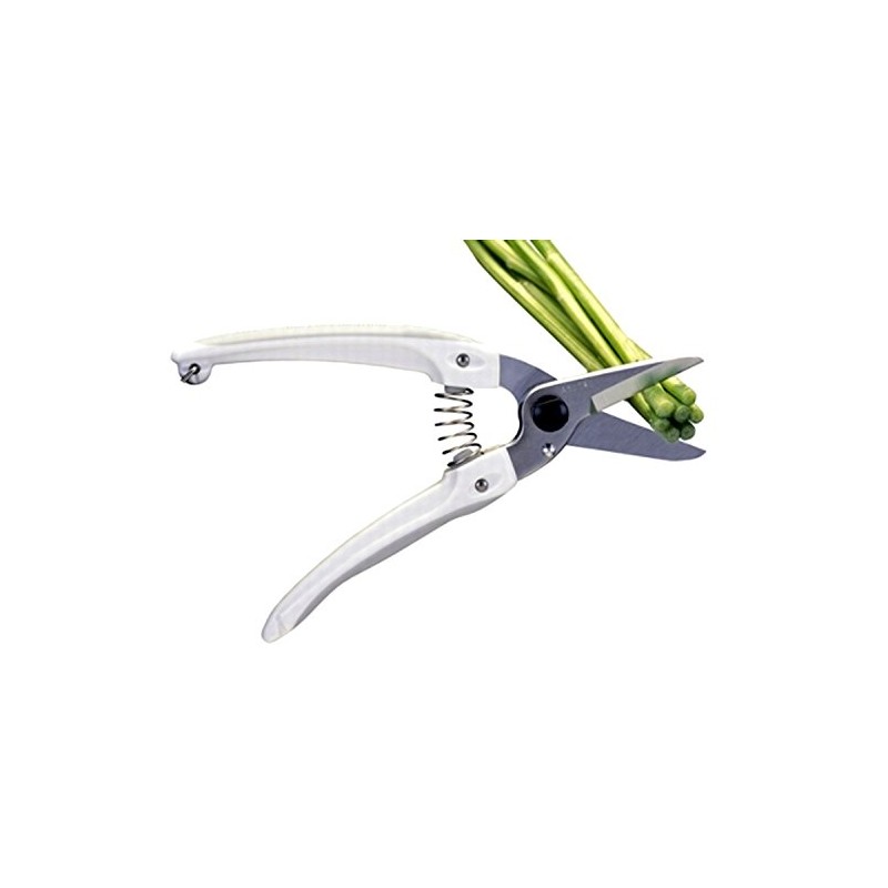 ARS Corporation 140DX-P Family, Lightweight, Small, Fresh Flowers, Gardening Shears