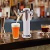CeRaBuRET Double Faucet Tower Keg System No Tank Conversion Kit,