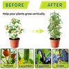 SORANGEUN 6 Pack Tomato Cages for Garden, 48” Metal Tomato