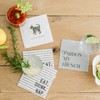 Santa Barbara Design Studio F2F Cocktail Paper Napkins, 20-Count, Hair