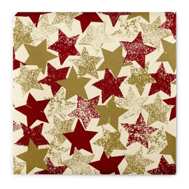 Mank GmbH Airlaid Napkins 40 x 40 cm, Premium Disposable Napkin, Fabric-Like and Absorbent, Perfect for Christmas Parties & Advent Parties, Christmas Napkins, Pack of 50