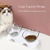 Double Dog Cat Bowls Anti Vomiting, Elevated Cat Food Water