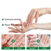 Ginger Nail, Tratamiento de Uñas con Jengibre, Soporte para Uñas,
