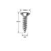 Guitar Anatomy Scratchplate Pickguard Screws Chrome x12