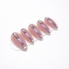 365 FRESH - Almond / 365 FRESH - 아몬드