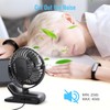 HONYIN 720° Rotation Small Desk & Clip on Fan with
