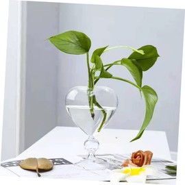 Zerodeko Heart Glass Hydroponic Vase, Transparent, 6.3x6.3x8.1 inches, for Indoor Decoration and Gift