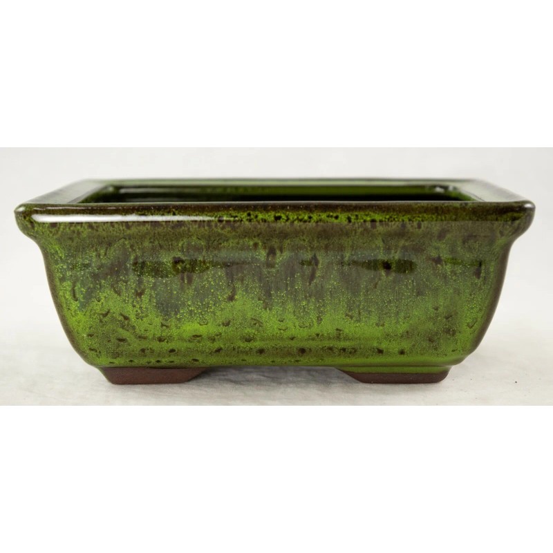 Yubonzai Rectangular Shohin Bonsai, Succulent Pot 6"x 4.5"x 2.25" w
