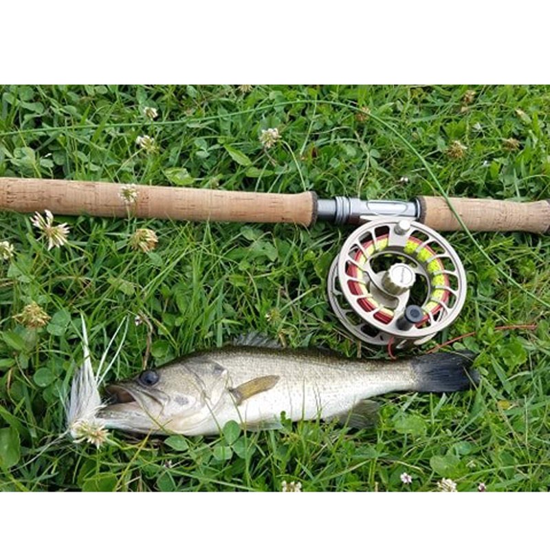 Aventik Sinking Tip Fly Line Fast Sinking Fly Line 100FT