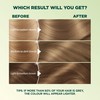 Garnier Nutrisse Ultra Crème, Permanent Hair Dye, 100% Grey Coverage,