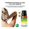 BONITA ORGANICS Aceite Esencial De Árbol De Té Antimicotico 100