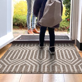 DEXI Indoor Door Mat Durable Front Door Mats for Entryway, Non Slip Absorbent Resist Dirt Entry Rug, 24"X36" Doormat Indoor Entrance, Machine Washable, Brown