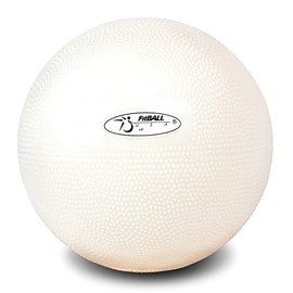FitBALL Body Therapy Ball for Yoga, Pilates, Barre, Gyms and Rehab - 6" Intermediate