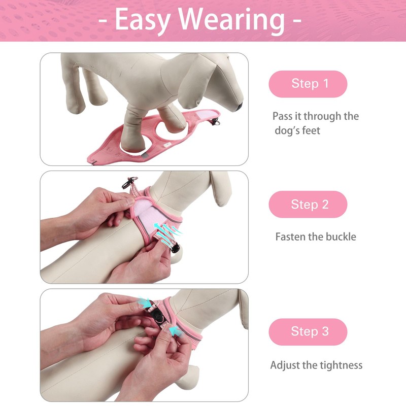 Dog Harness for Small Dogs and Leash Set, Honeycomb Grid,